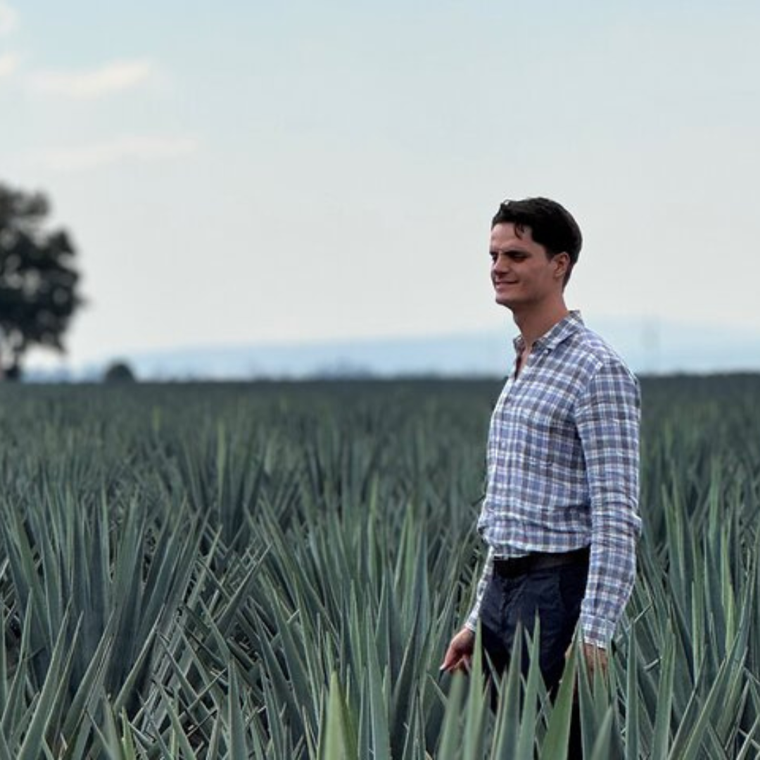 Tour Tequilero con Cabalgata