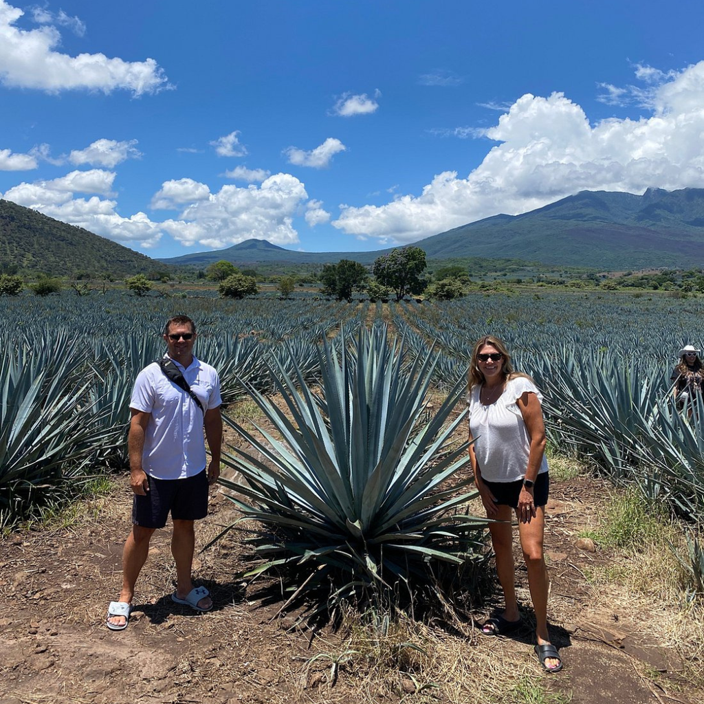 Día Completo en Tequila con Degustación y fiesta en Cantaritos